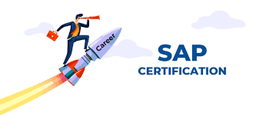 SAP Global Certification Online Exam, Six Attempts